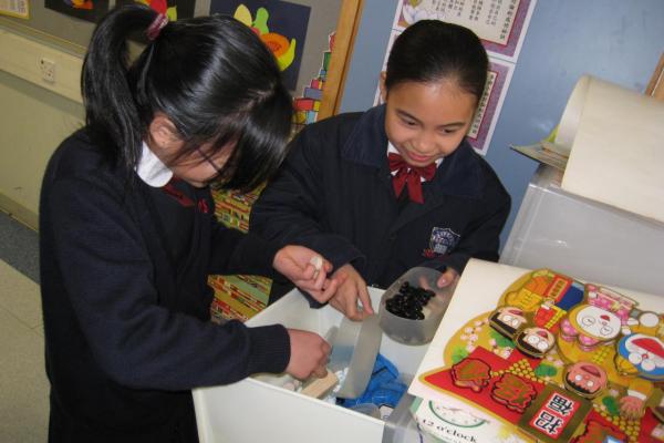 智趣角大使每天都將課室智趣角的遊戲執拾得整整齊齊，使學生易於取用。